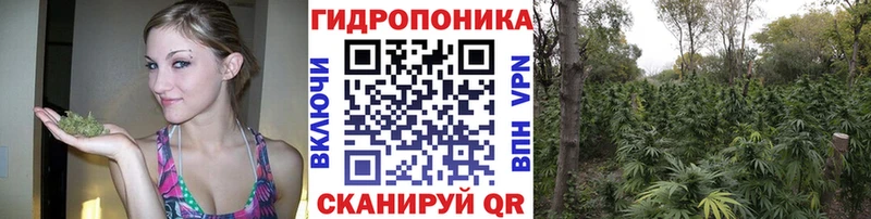 Наркошоп купить АМФ  СОЛЬ  ГАШ  Каннабис  Меф мяу мяу  COCAIN  Челябинск