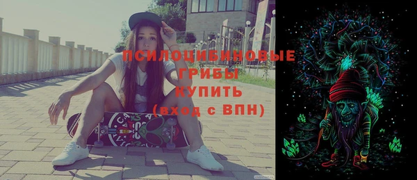МДПВ Армянск