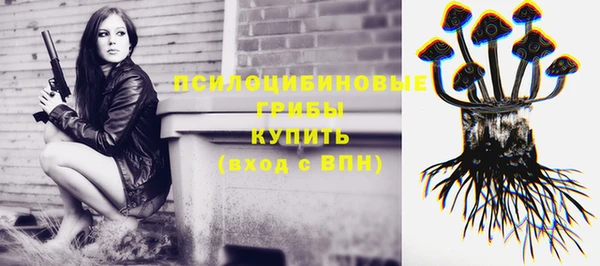 MDMA Premium VHQ Аркадак