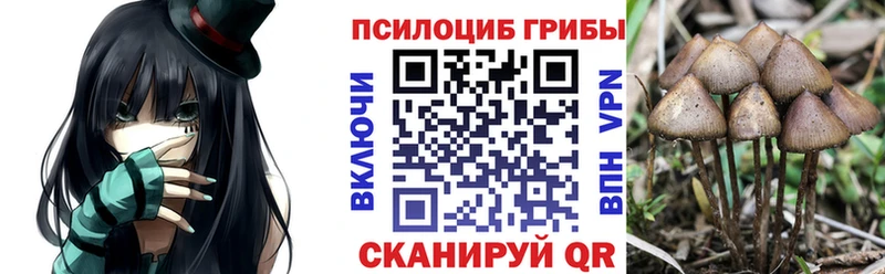 Галлюциногенные грибы мухоморы  Купить где  Челябинск 